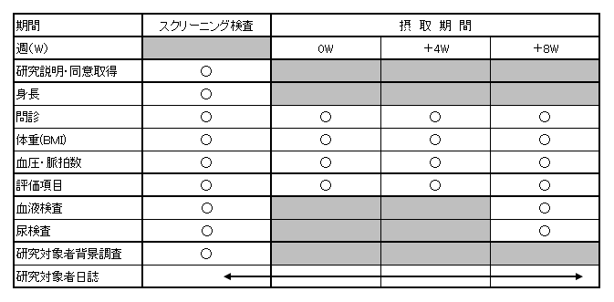 試験スケジュール（例）